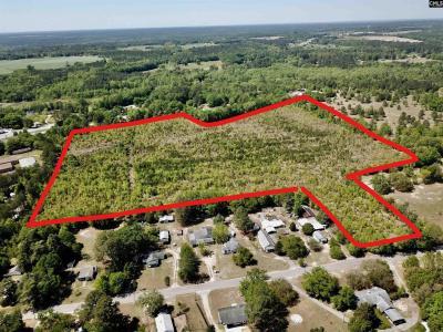 546 Huckabee Mill Road, Swansea, South Carolina 29160