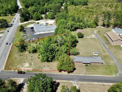 0 Faith Church Road, Swansea, South Carolina 29160