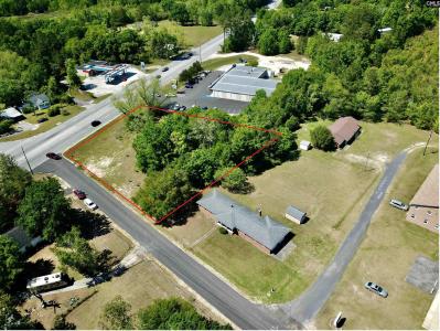 0 Faith Church Road, Swansea, South Carolina 29160