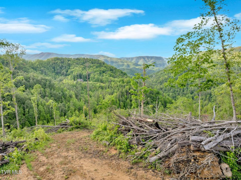 59.8 Acres Willis Cove Road, Erwin, Tennessee 37650