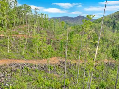 59.8 Acres Willis Cove Road, Erwin, Tennessee 37650