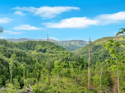 59.8 Acres Willis Cove Road, Erwin, Tennessee 37650