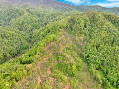 59.8 Acres Willis Cove Road, Erwin, Tennessee 37650