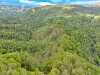 59.8 Acres Willis Cove Road, Erwin, Tennessee 37650