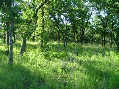 Lot 263 Ridgeline Drive, Chico, Texas 76431, USA