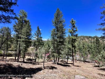 305 S Oak Dr, Ruidoso, NM 88345, USA