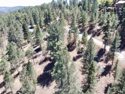 305 S Oak Dr, Ruidoso, 新墨西哥州 88345, 美国