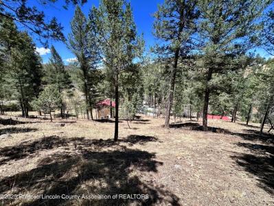 305 S Oak Dr, Ruidoso, 新墨西哥州 88345, 美国