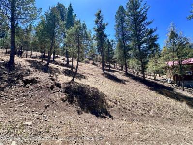 305 S Oak Dr, Ruidoso, 新墨西哥州 88345, 美国