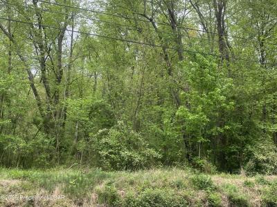 Middle Road, Nanticoke, Pensilvania 18634, Estados Unidos