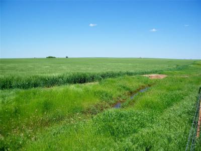 790 Road, Kingfisher, Oklahoma 73750, USA