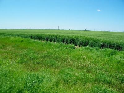 790 Road, Kingfisher, Oklahoma 73750, USA