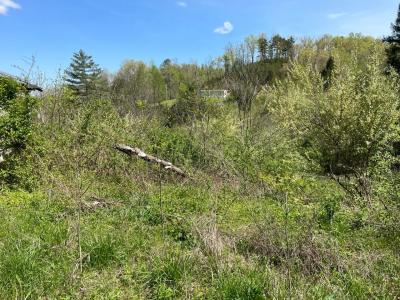 654 Napier Hollow Road, Manchester, 肯塔基州 40962, 美國