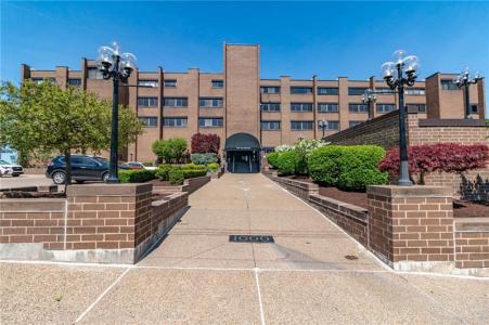 1000 Grandview Ave , 1207, Pittsburgh, Pennsylvania 15211, USA