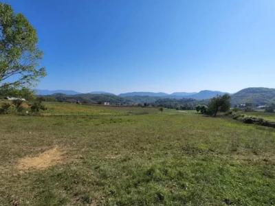 Rinas, Tirana, Albania