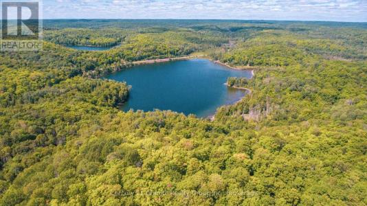 2368 ESSONVILLE LINE ROAD, Highlands East (monmouth), Ontario K0L 3C0, Canada