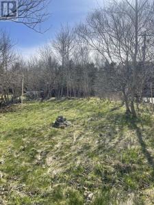 367 TORBAY ROAD, St John's, Newfoundland And Labrador A1A 4C9, Canada