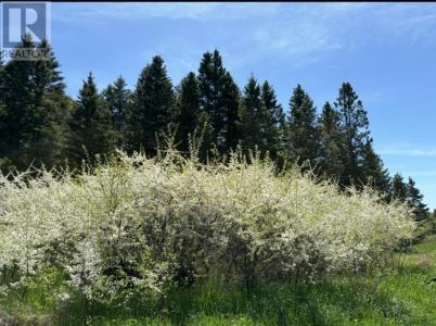 2521 U LINE RD, Hilton Beach, Ontario P0R 1G0, Canada