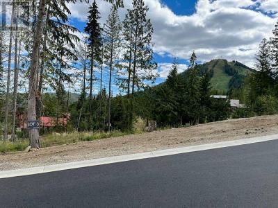 308 RIDGE ROAD, Rossland, Columbia Britannica V0G 1Y0, Canada