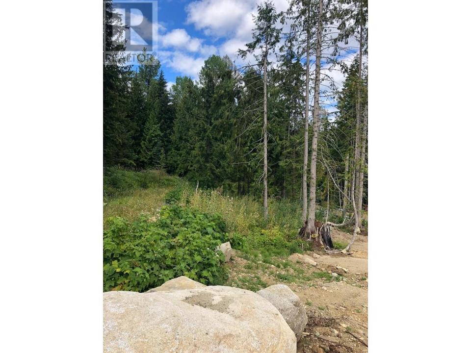 311 RIDGE ROAD, Rossland, Colúmbia Britânica V0G 1Y0, CANADÁ