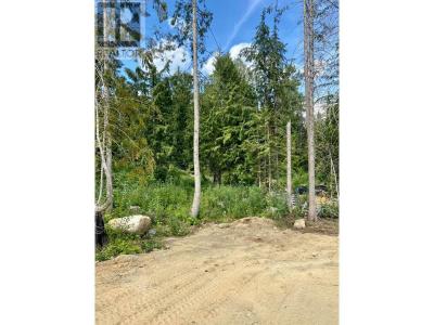 311 RIDGE ROAD, Rossland, Colúmbia Britânica V0G 1Y0, CANADÁ
