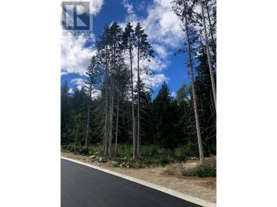 311 RIDGE ROAD, Rossland, Colúmbia Britânica V0G 1Y0, CANADÁ