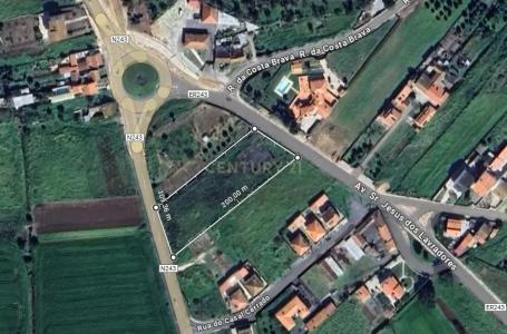 Torres Novas, Santarém 2350, Portugal