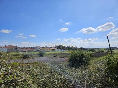 Torres Novas, Santarém 2350, Portugal