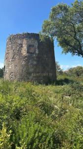 São Brás De Alportel, Faro 8150, Portugal