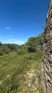 São Brás De Alportel, Faro 8150, Portugal