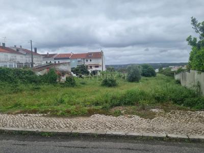 Rio Maior, Santarem 2040, Portugal