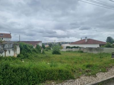 Rio Maior, 산타렘 2040, 포르투갈