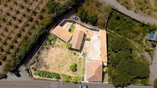 Bombarral, Leiria 2540-467, Portugal