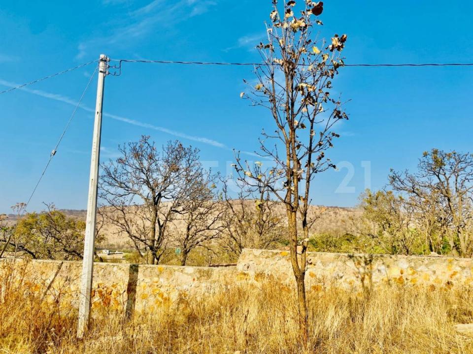 rubi s/n,, Zapopan, חליסקו 45200, מקסיקו 