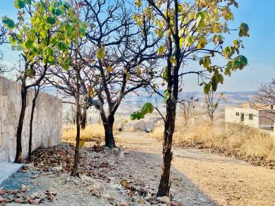 rubi s/n,, Zapopan, חליסקו 45200, מקסיקו 