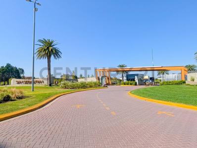 Avenida Fuerza Aérea 1 451, Funes, Santa Fe 00001, Argentina