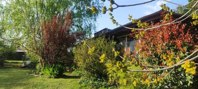 Alondras S/N, Brandsen, GBA Sur 1900, Arjantin