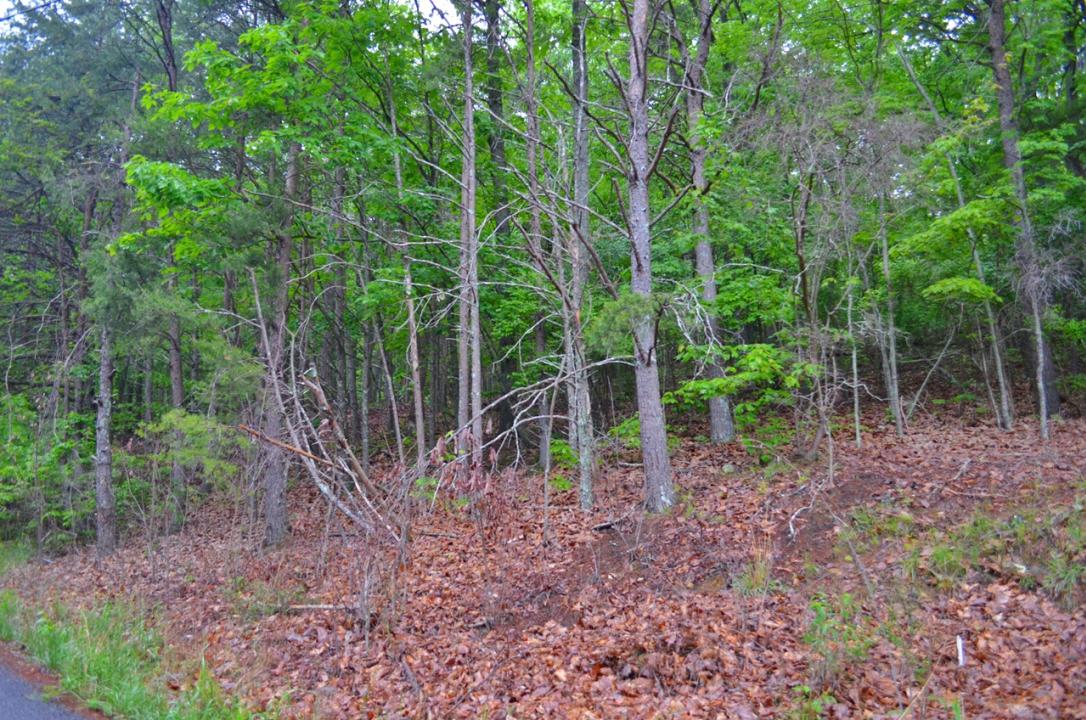 8805 Terrace Falls Drive, Soddy-Daisy-, Tennessee 37379
