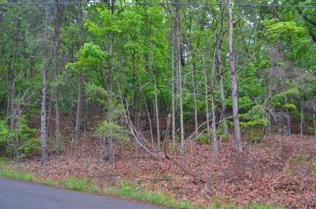 8805 Terrace Falls Drive, Soddy-Daisy-, Tennessee 37379