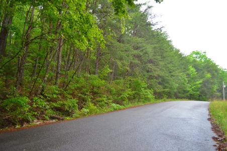 8805 Terrace Falls Drive, Soddy-Daisy-, Tennessee 37379