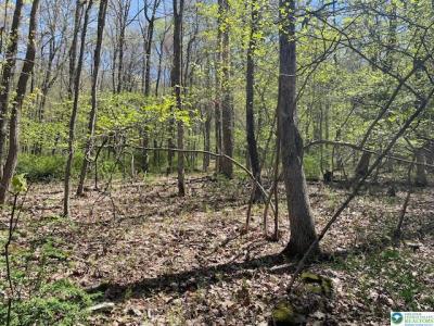 Lot 23 Hemlock Rd, Kunkletown, Pennsylvania 18058, USA