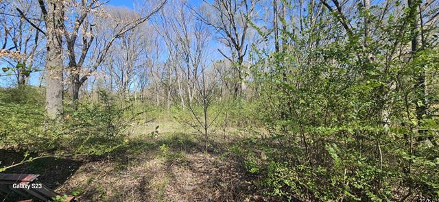 2415 FM 17, Alba, Техас 75410, Соединенные Штаты