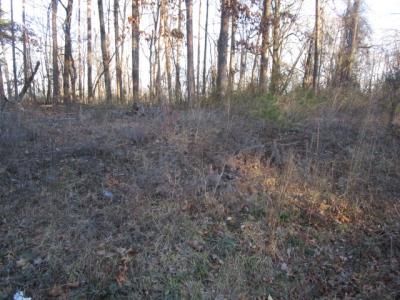 0 Carver Rd, Martinsville, فرجينيا 24112, الولايات المتحدة