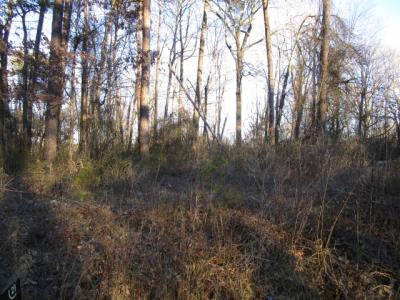0 Carver Rd, Martinsville, فرجينيا 24112, الولايات المتحدة