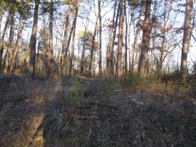 0 Carver Rd, Martinsville, فرجينيا 24112, الولايات المتحدة