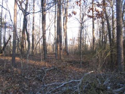 0 Carver Rd, Martinsville, فرجينيا 24112, الولايات المتحدة