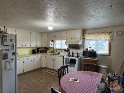 1006 W 11th St., Springfield, South Dakota 57062
