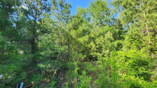 297 White Oak Lane, Lufkin, テキサス 75904, アメリカ合衆国