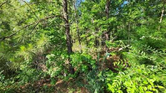 297 White Oak Lane, Lufkin, テキサス 75904, アメリカ合衆国