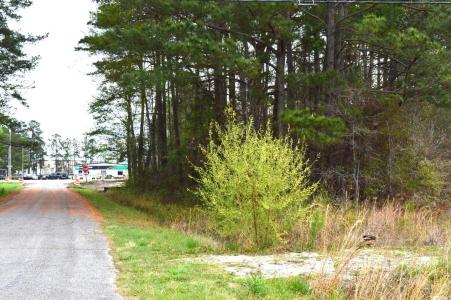 Lot 1&2 Highway 501 E, Conway, South Carolina 29526